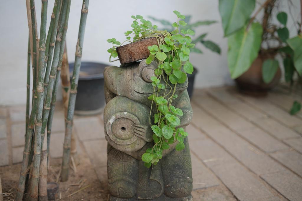 Moss Bnb Colombo Ngoại thất bức ảnh