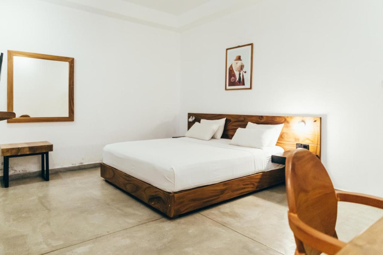 Moss Bnb Colombo Ngoại thất bức ảnh