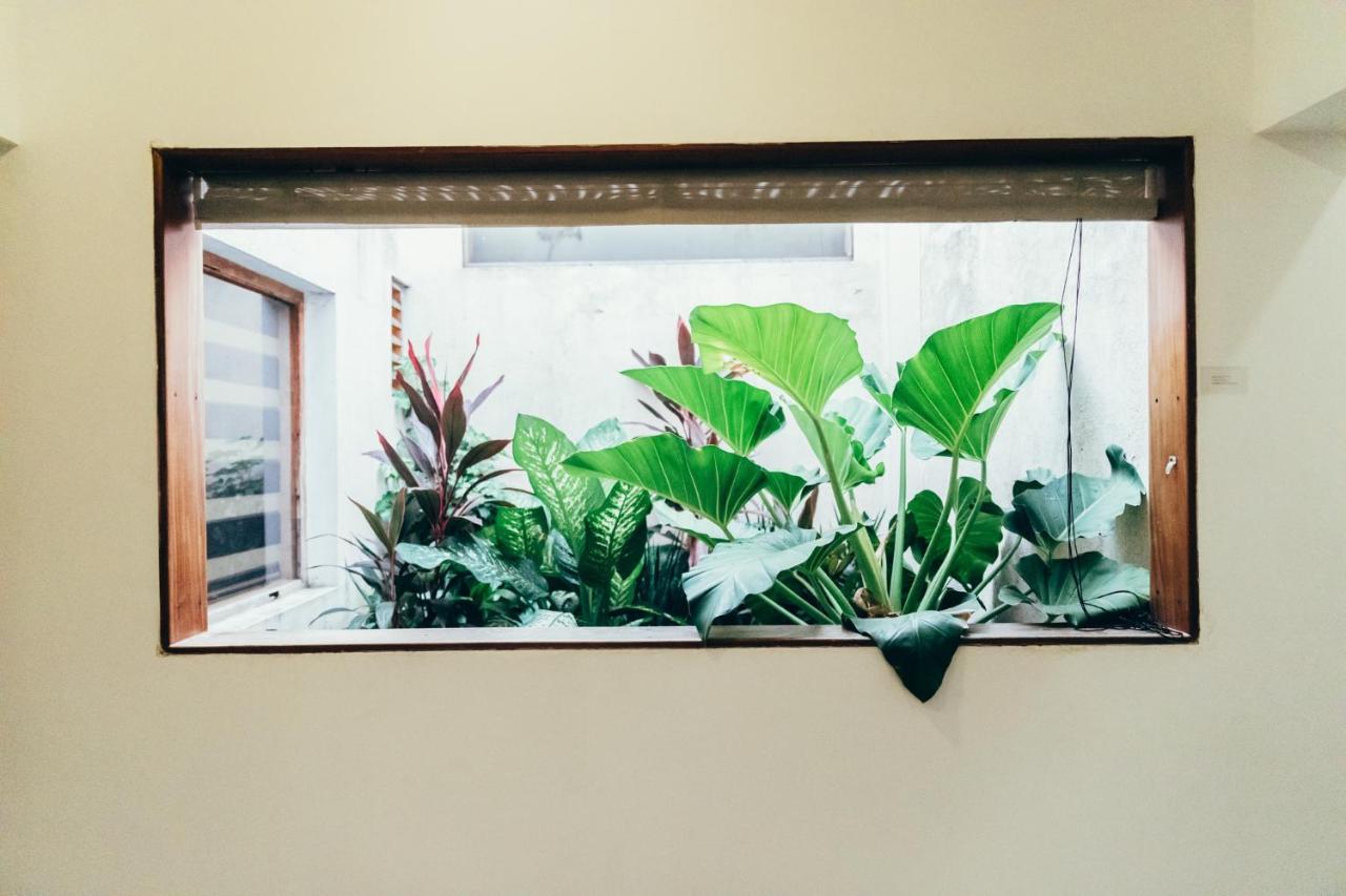 Moss Bnb Colombo Ngoại thất bức ảnh