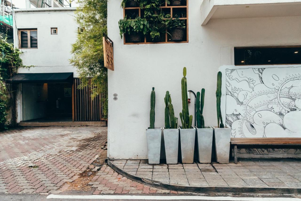 Moss Bnb Colombo Ngoại thất bức ảnh